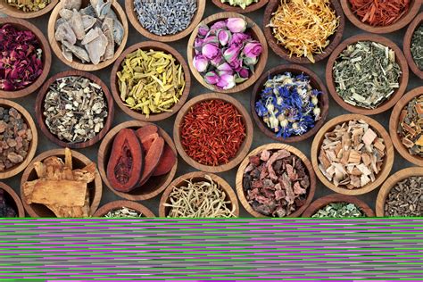 Medicinal and Aromatic Plants: Conserving Health, Heritage and Livelihoods for World Wildlife ...