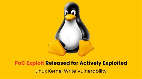 Linux Exploit Development 的图像结果
