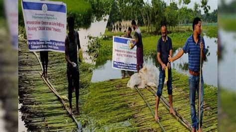 Coochbehar News: আধুনিক পদ্ধতিতে পাট পচানোর প্রদর্শনী বক্সিরহাটে, কৃষি ...