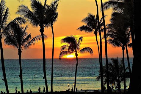 OAHU ISLAND DAILY CHAUFFEUR - All You Need to Know BEFORE You Go 2026 ...