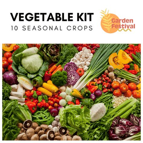 Shop the Best Vegetable Seeds for Your Farm - Top Quality Hybrid Seeds ...