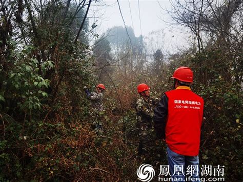 大风吹倒树，压倒电线杆！北京宛平城地区办事处一个半小时消除隐患_京报网