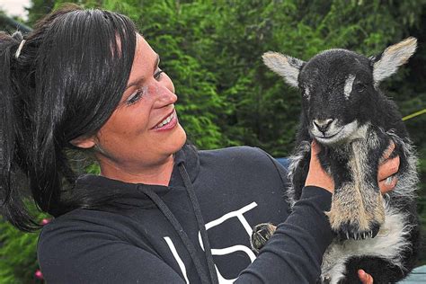 Shropshire mystery as lamb baa-rn on the fourth of J-ewe-ly ...