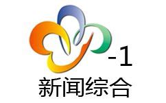 武汉新闻综合频道直播在线观看节目表