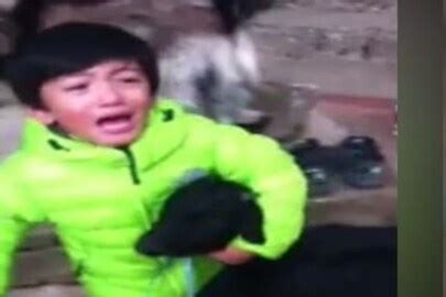 Viral Video: ਬਕਰੀਦ 'ਤੇ ਪਸ਼ੂਆਂ ਦੀ ਬਲੀ ਦੇਣ ਤੋਂ ਪਹਿਲਾਂ ਦੇਖੋ ਇਹ ਵੀਡੀਓ ...