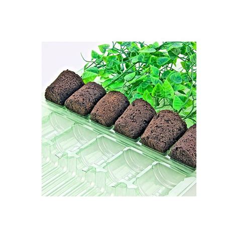 Buy Clone Shipper - Multiple Sizes - Ship Plant Cuttings - 100Hr LEDs ...