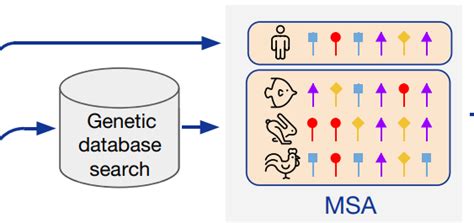 Alphafold2 Explained 的图像结果