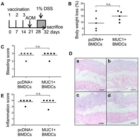 Prevention of Inflammation-Driven Colon Carcinogenesis in Human MUC1 ...