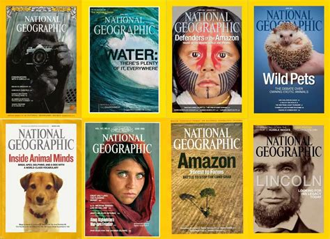 美国《国家地理》杂志给孩子们做了一套科普书！全球发行量最大的少儿科普杂志精选