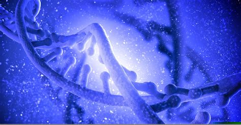 Bioinformatics | Biotech Company - UniBiosys Biotech Research Labs Kochi