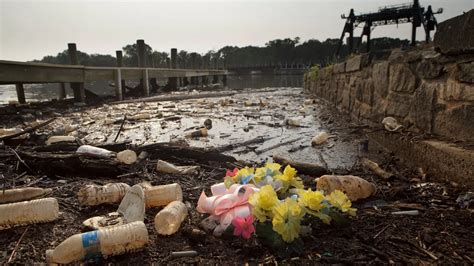 Image result for World Garbage Problem