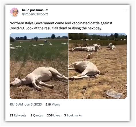 Fact Check: NOT Covid vaccine, these cows died after consuming ...