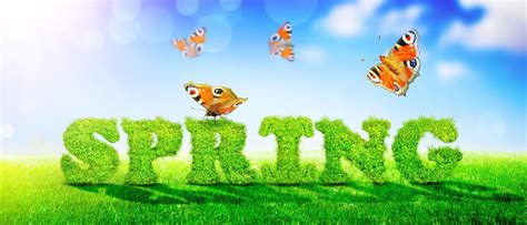 Image result for Spring Over Summer