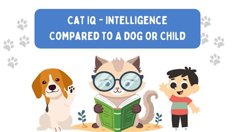 Image result for Cat Intelligence Test