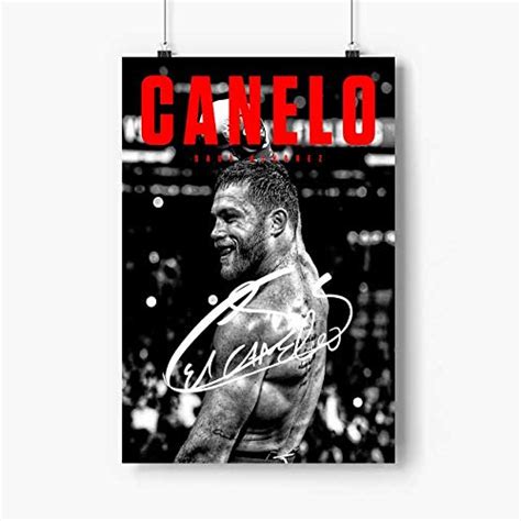 Buy Canelo Saul Alvarez Boxing Art Prints - No Frame 12x18 inch Sports ...