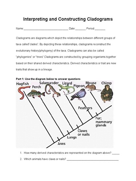 Image result for Cladogram Matrix Practice