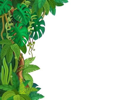 Urwald Hintergrund Bilder - Kostenloser Download auf Freepik