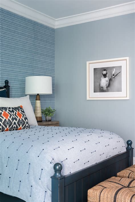 Sherwin Williams Sleepy Blue