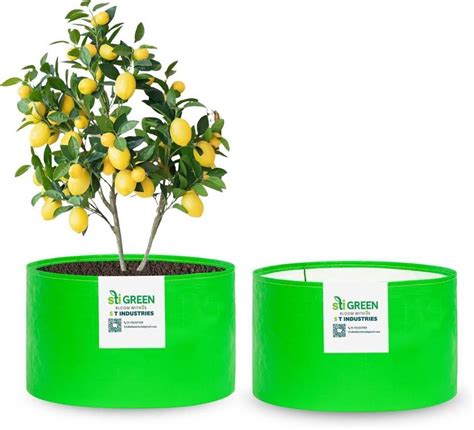 STIGREEN Grow Bag 12x12 Premium HDPE UV Protected Heavy Duty Grow Bag ...