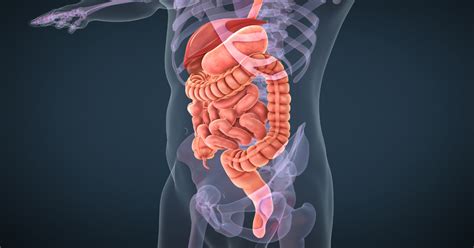 Common Digestive Problems 的图像结果
