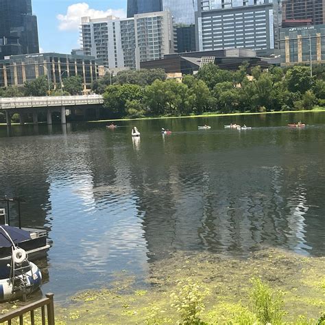 HYATT REGENCY AUSTIN - Hotel Reviews, Photos, Rate Comparison - Tripadvisor
