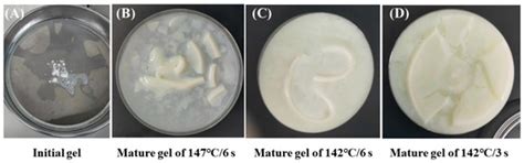Age Gelation in Direct Steam Infusion Ultra-High-Temperature Milk ...