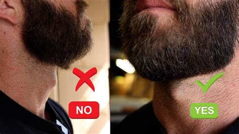 Full Beard Neckline