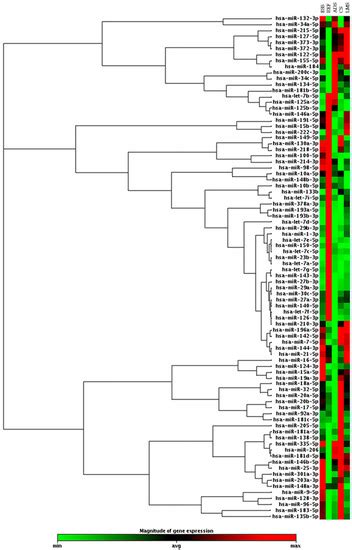 Could miRNA Signatures be Useful for Predicting Uterine Sarcoma and ...