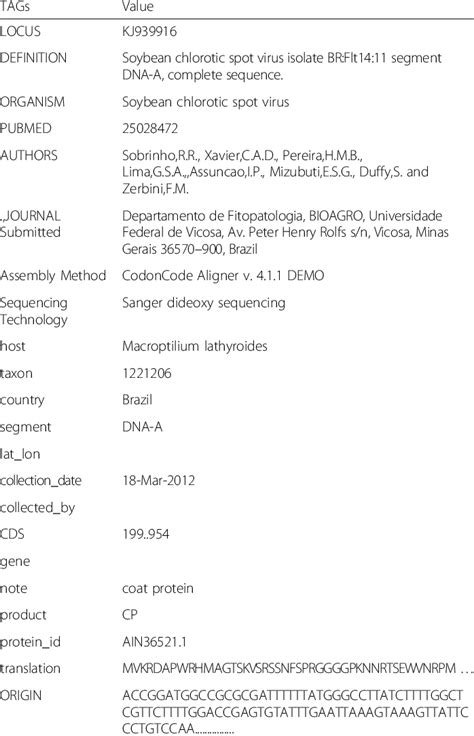 GenBank File 的图像结果