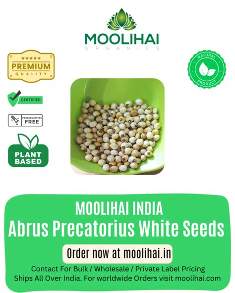Abrus Precatorius White Seeds / White Rosary Pea / kundu mani ...