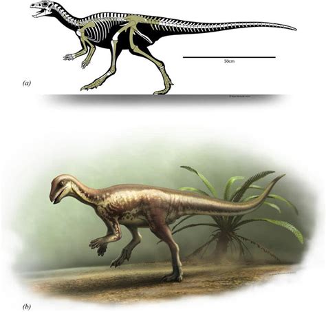 A Cat-Sized Dinosaur From the Jurassic Period Has Been Found: Meet the ...