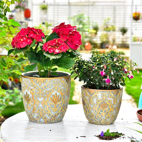 Amazon.com: Sungmor Large Heavy Duty Cement Planters, Beautiful ...