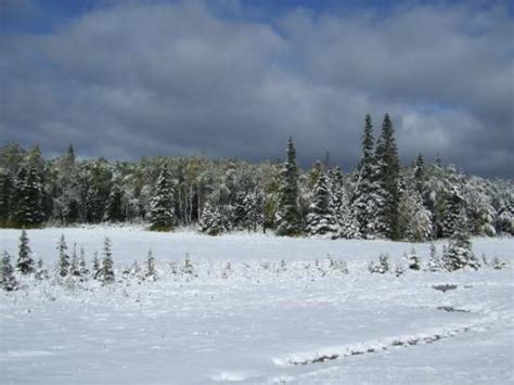 THE BEST Places to Visit in Swan River (2025) - Must-See Attractions