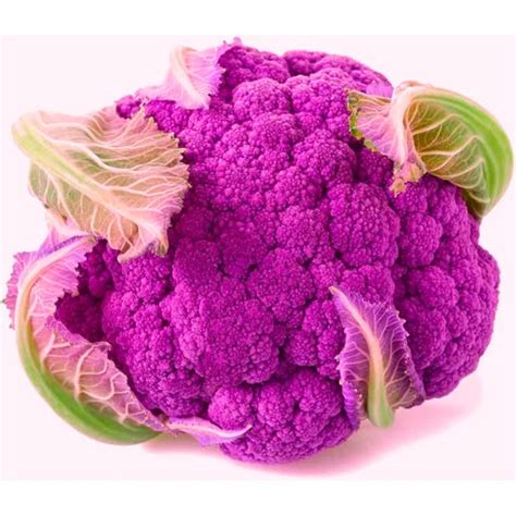 Agriseeds Ritika F1 Hybrid Broccoli Organic Vegetable Seeds 129 Pis