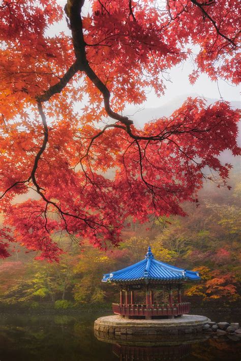 10 places to visit in Asia this March | Condé Nast Traveller India