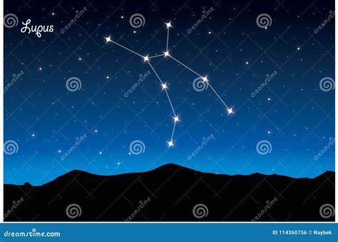 Constellation of Lupus stock vector. Illustration of abstract - 114360756