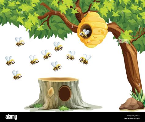 Bees flying around beehive on the tree illustration Stock Vector Image ...