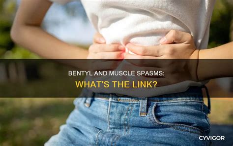 Bentyl And Muscle Spasms: What's The Link? | CyVigor