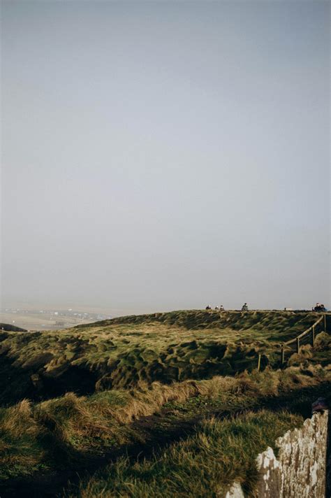 Grass Field Photography 的图像结果