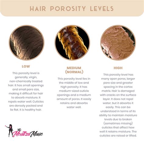 4C Hair Type Master Guide | The Mestiza Muse