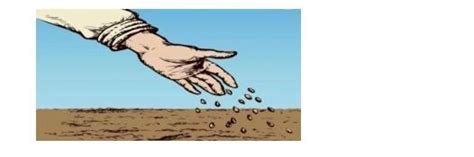 Q10. A farmer selected healthy and high yield variety of seeds to be ...