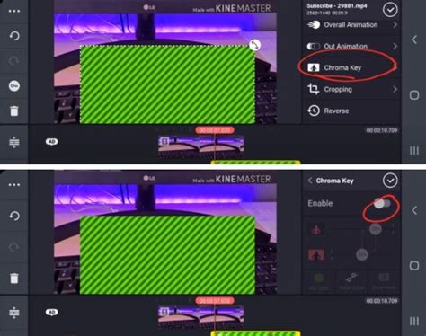 Kinemaster Green screen 的图像结果