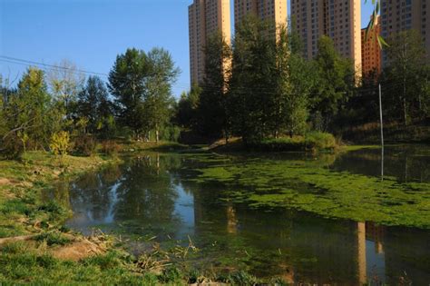 青海西宁北川河（核心段）综合治理项目之生态河道建设工程景观设计 - 湿地与滨水景观 - 首家园林设计上市公司