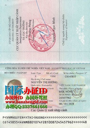 越南签证样本