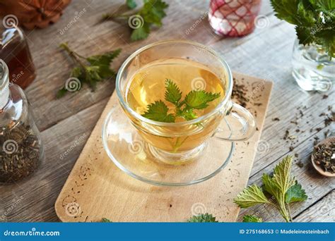 A Cup of Herbal Tea with Fresh Stinging Nettles Stock Image - Image of ...