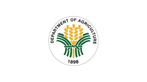 Agri output boost programs seen reducing post-harvest losses this year – DA → Context.ph