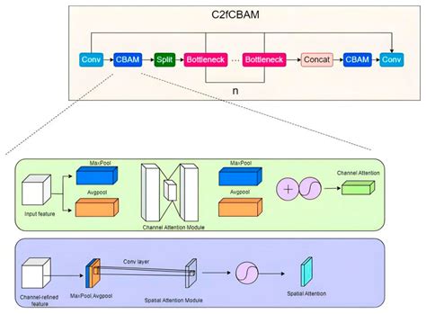 DVCW-YOLO for Printed Circuit Board Surface Defect Detection