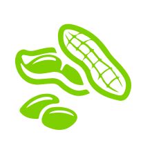 HAYYAN 100% Pure Unrefined Cold/Wood Pressed Virgin Groundnut Peanut ...