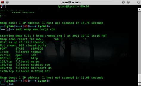 Image result for How to Hack with IP Address Using Cmd