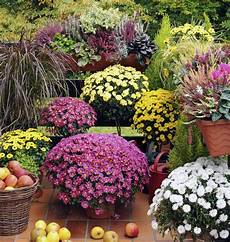 foto di giardini fioriti balconi fioriti e terrazzi fioriti come progettarli in foto di giardini fioriti balconi fioriti e terrazzi fioriti come progettarli in